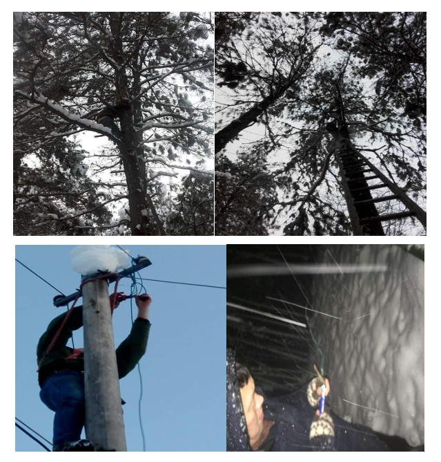 �½������(�й���)�ٷ���վ