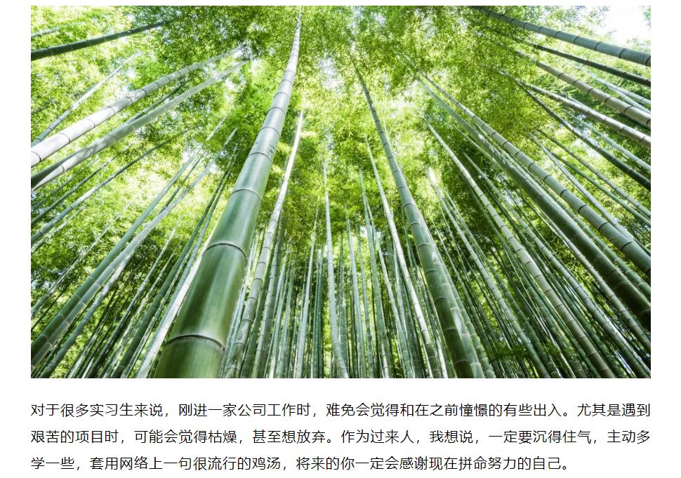 �½������(�й���)�ٷ���վ