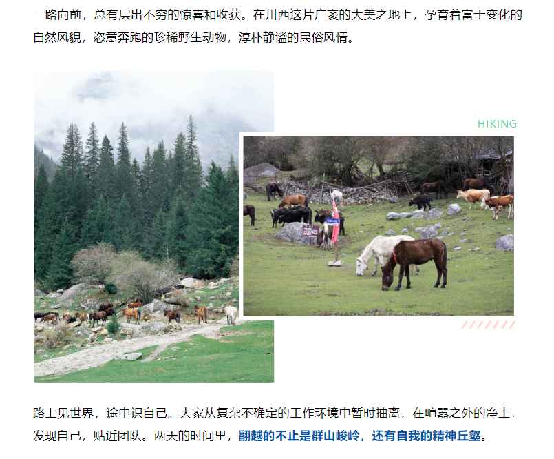 �½������(�й���)�ٷ���վ